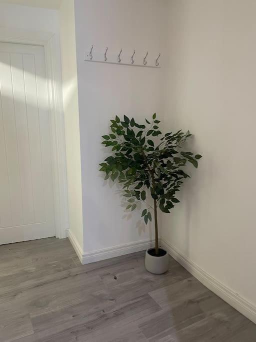 Modern 1-Bed Apartment Belfast Dış mekan fotoğraf