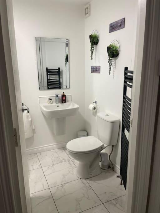 Modern 1-Bed Apartment Belfast Dış mekan fotoğraf