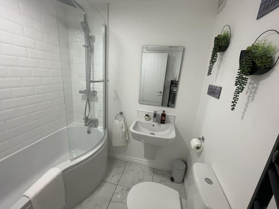 Modern 1-Bed Apartment Belfast Dış mekan fotoğraf